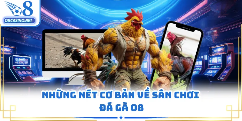 Những nét cơ bản về sân chơi đá gà O8