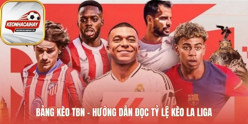 Giải Mã Các Loại Tỷ Lệ Kèo Bóng Đá Phổ Biến Nhất